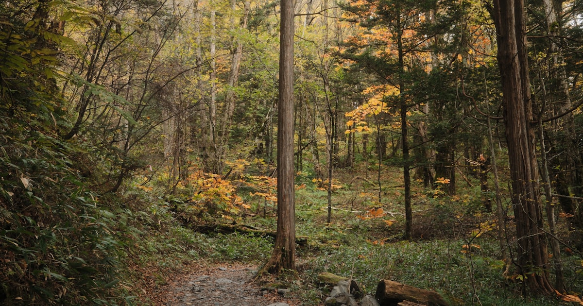 Türkiye'de Sonbahar Macerası: Eylül–Kasım Aktivite Rehberi