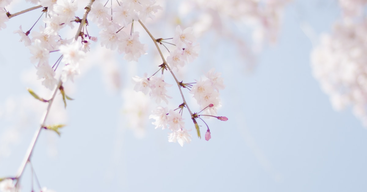 Türkiye'de İlkbahar Macerası: Mart–Mayıs Aktivite Rehberi