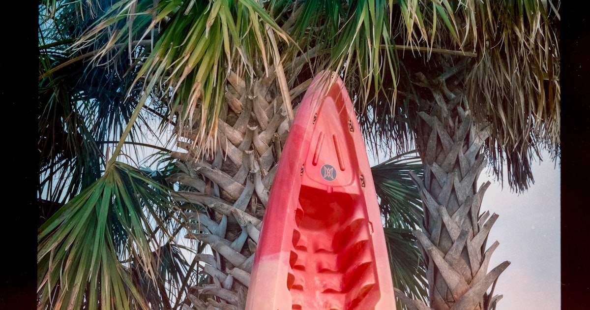 Türkiye'de Yaz Macerası: Haziran–Ağustos Aktivite Rehberi