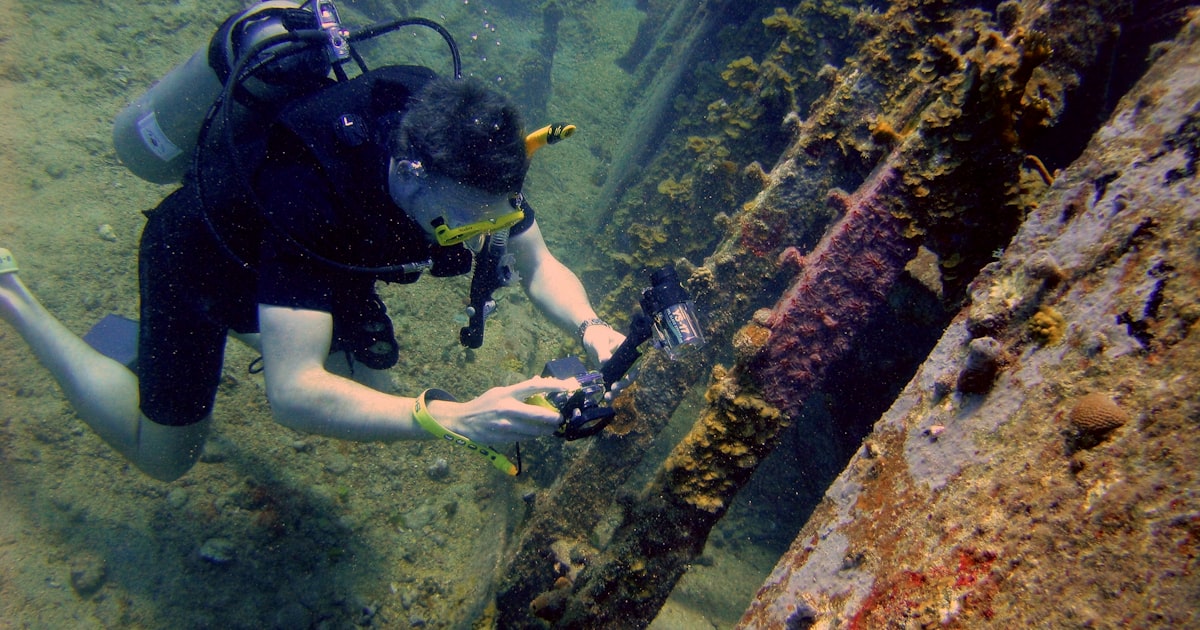 Türkiye'de Tüplü Dalış: Kapsamlı Rehber 2026