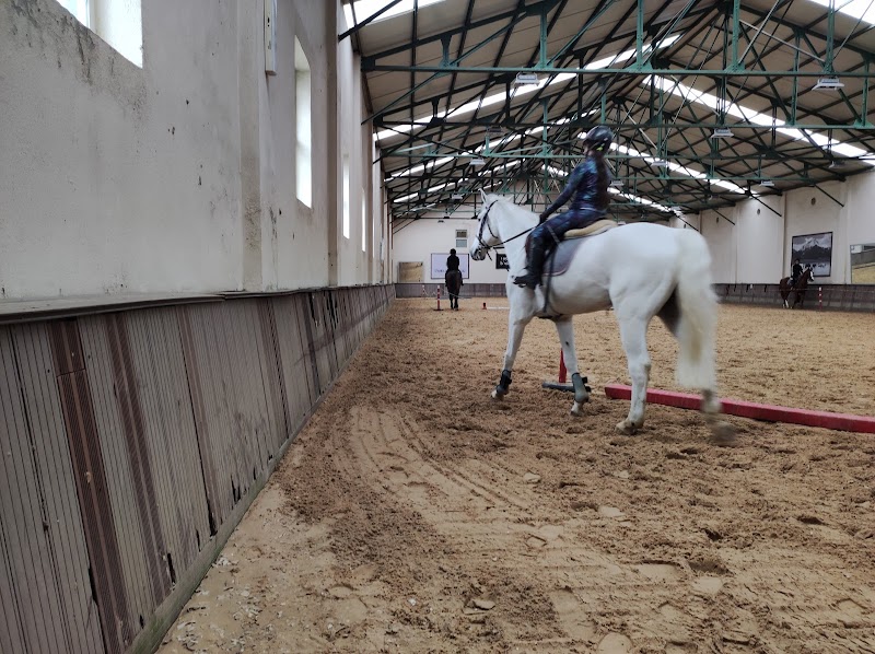 İstanbul Atlı Spor Kulübü