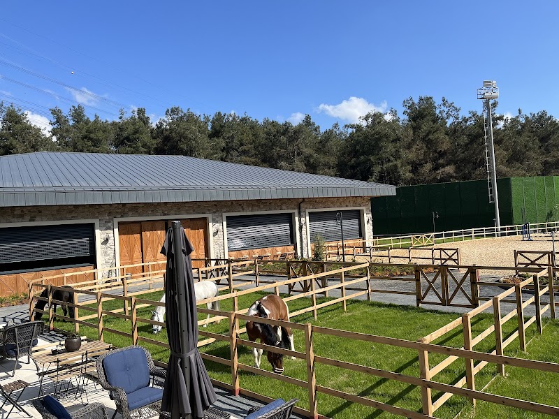 Happy Horse Atlı Spor Kulübü