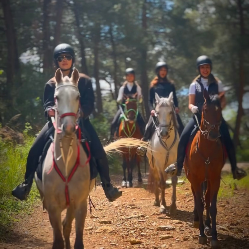 Ümit Tekcan Atlı Spor Kulübü (UTET Binicilik)