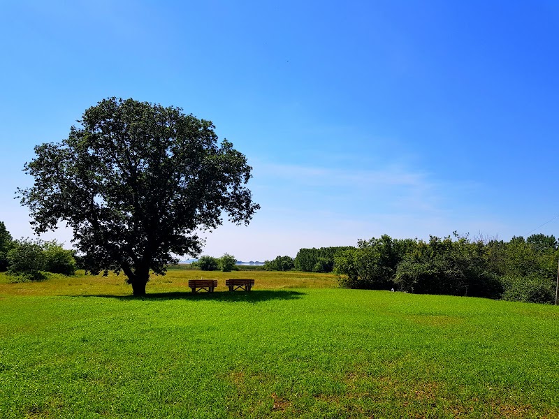 Nilüfer Atlı Spor Kulübü