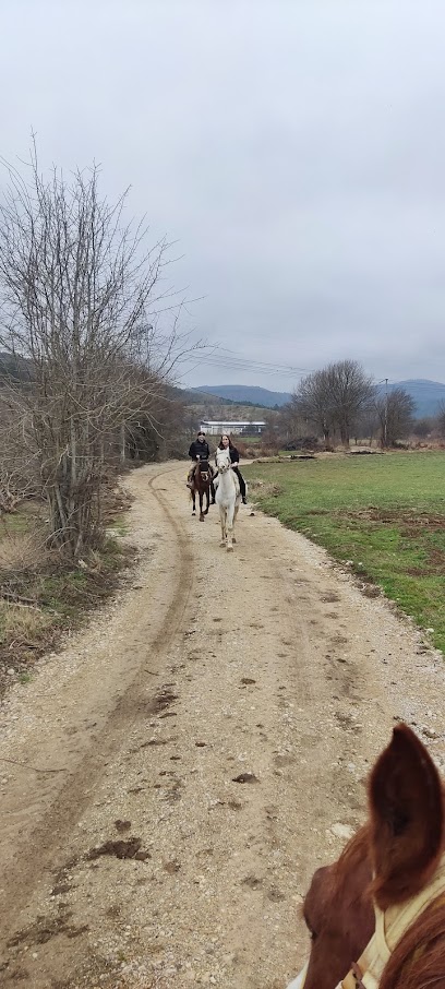 ABANT AT ÇİFTLİĞİ & AtAdam Horse Ranch