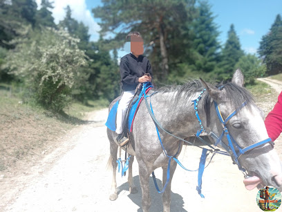 ABANT KAYA AT ÇİFTLİĞİ&@abanthorse_riding