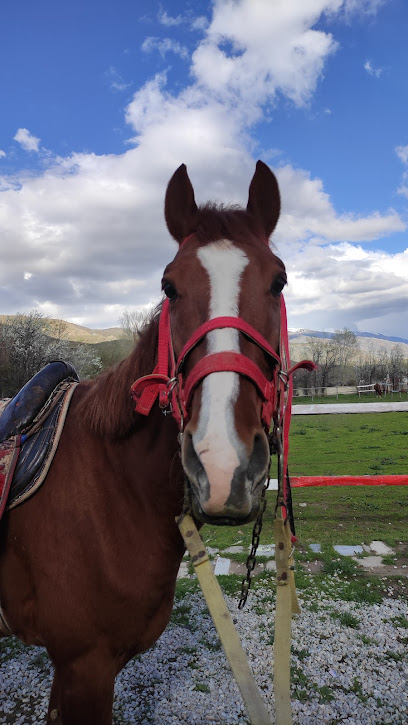 Ada Rüzgarı Atlı Binicilik