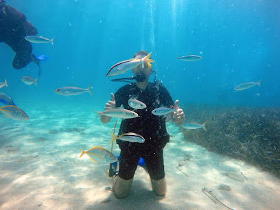 Adana Freelife Dalış Merkezi