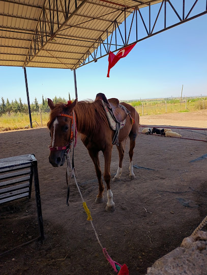 ADIYAMAN ATLI SPOR KULÜBÜ
