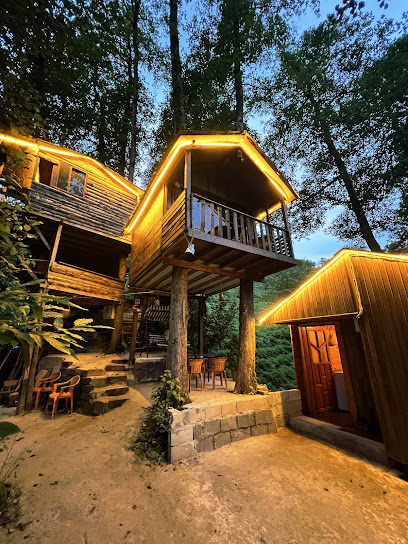 AGAÇ EV DOĞADA YAŞAM