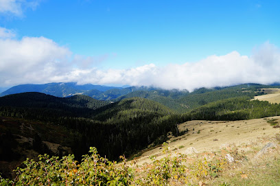 Ağaçbaşı Tabiat Parkı