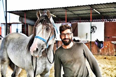 Akvaryum Cafe ve Binicilik Eğitim Külübü