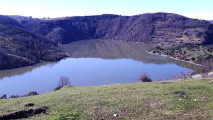 ALAPELİT YÜRÜYÜŞ ALANI