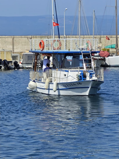 Alesta16 Balık Avı ve Gezi Turu Teknesi "VIP"