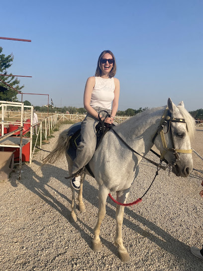 Altay Atlı Spor Kulübü