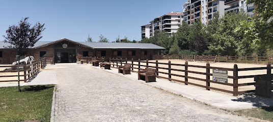 Altındağ Binicilik