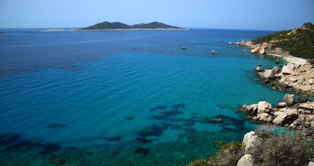 Anas Crecca - Travel Agency - Turkey Cappadocia Tours 2026