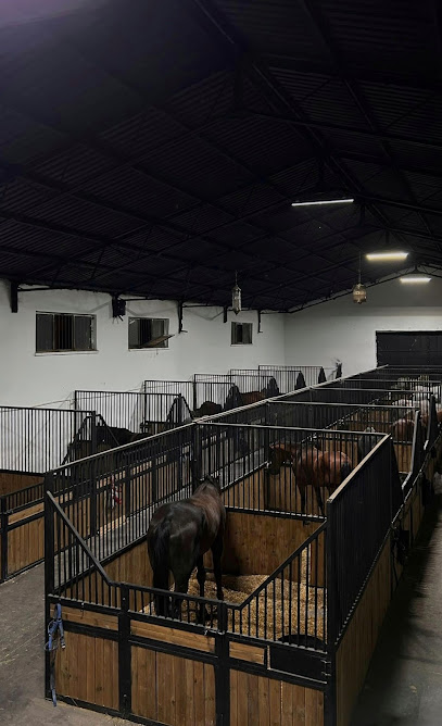 Angora Binicilik Kulübü