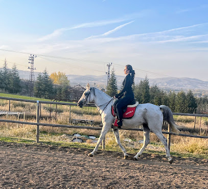 Ankara Anatolia Atlı Spor Kulübü