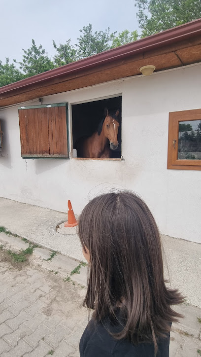 Ankara Binicilik Eğitimi