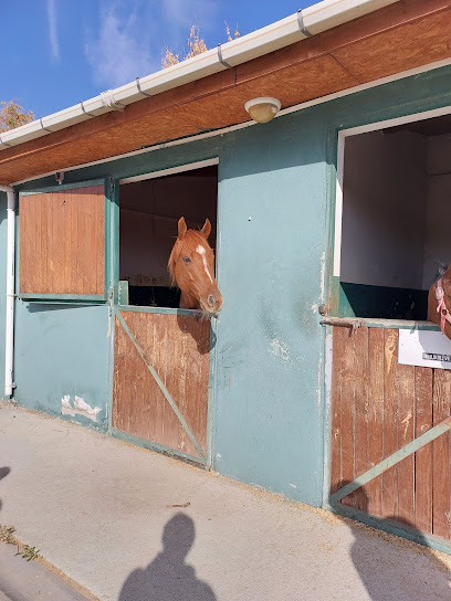 Ankara Binicilik İhtisas Kulübü