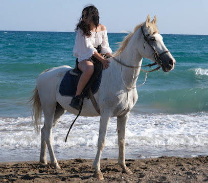 Antalya At Çiftliği