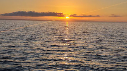 Antalya balik avi ve gezi turu