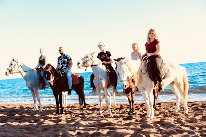 Antalya Binicilik ve Atlı Spor Kulübü