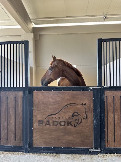 Antalya Padok Atli Spor