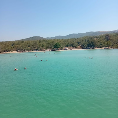 Apollon Boat Didim Altinkum