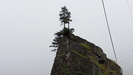 ARAKLI - BAYBURT YOLU