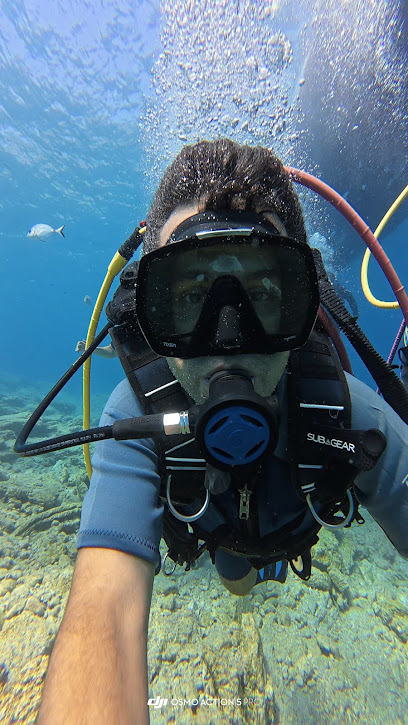 ARDEN Dalış Merkezi