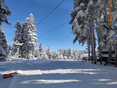 Arkut Dağı Kayak Merkezi