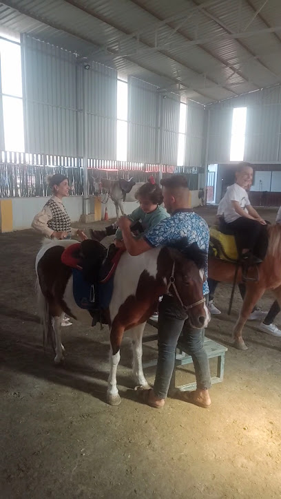 Armin su binicilik kulübü