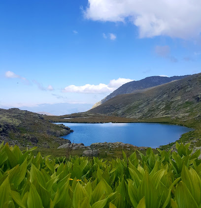 Artabel Gölleri Tabiat Parkı