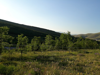 Aslandağ Vilayet Ormanı