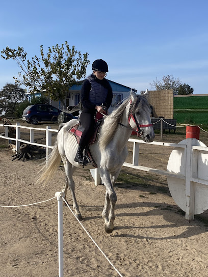 At ve Sanat Binicilik