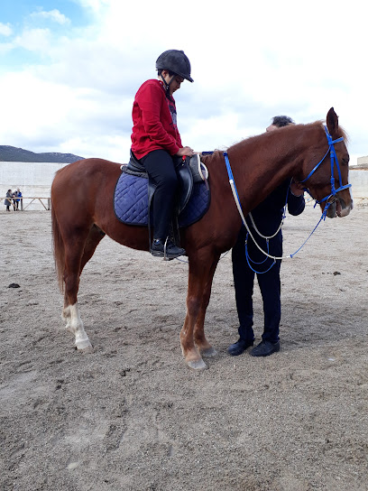 Atabey Binicilik Tesisleri