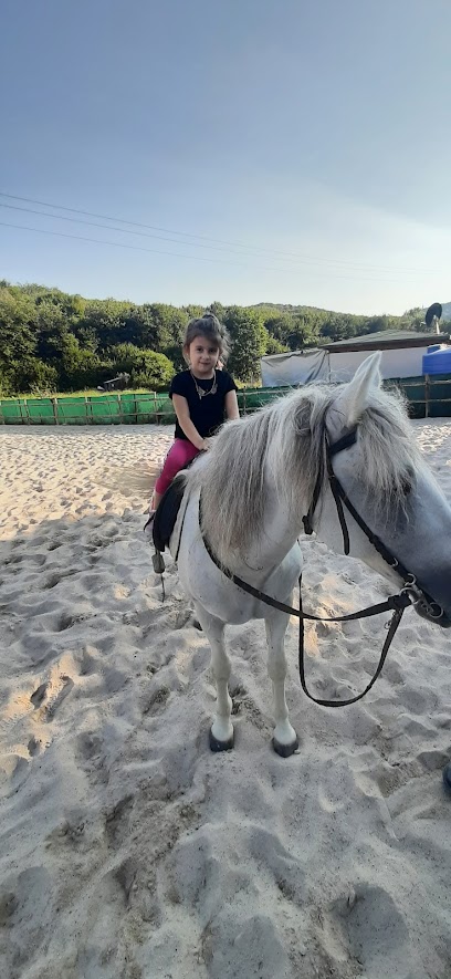 Atılım At Çiftliği