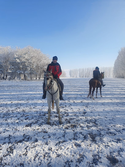 Atlı Bahçe Binicilik ve Yetiştiricilik Tesisi