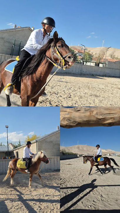 Atlı Köşk Dark Horse At Çiftliği