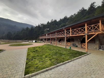 Atlı Vadi Binicilik