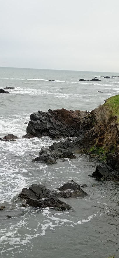 Ayanikola Çamlik arası Yürüyüş Yolu