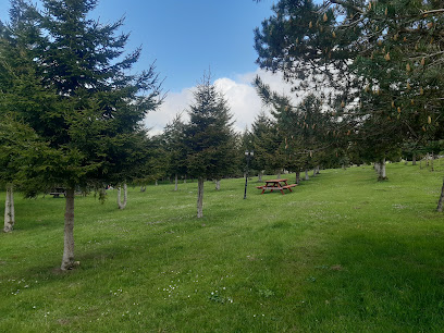 Aybastı Perşembe Yaylası Yürüyüş Yolu