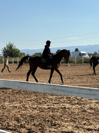 Aydın Atlı Spor Kulübü