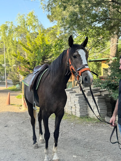 Aydos Orman 34 Kristal Atlı Binicilik Tesisleri