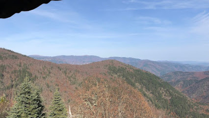 AYI KAYASI SEYİR TERASI