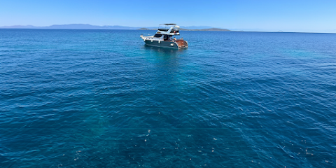 Ayvalık Yat Turu Pacific Tour