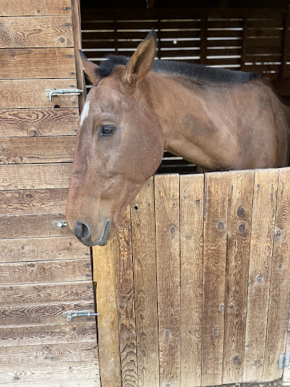 Azizoğlu Atlı Spor Kulubü