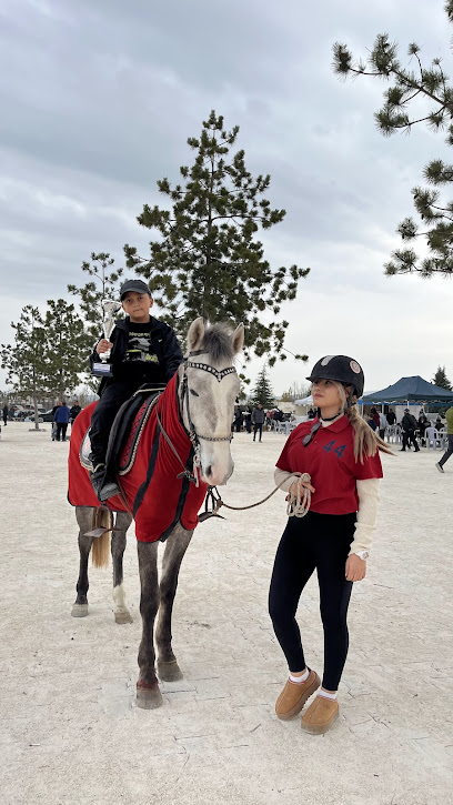 BABA OĞUL AT ÇİFTLİGİ VE HAYVANCILIK